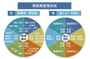 溫州企業管理咨詢 為何朗歐是您駐廠咨詢的卓越之選？