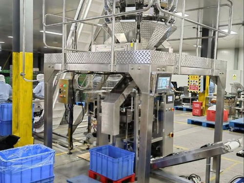 全自動膨化食品包裝設備品牌推薦 賦能蝦條、薯片、蝦片、鍋巴高效生產